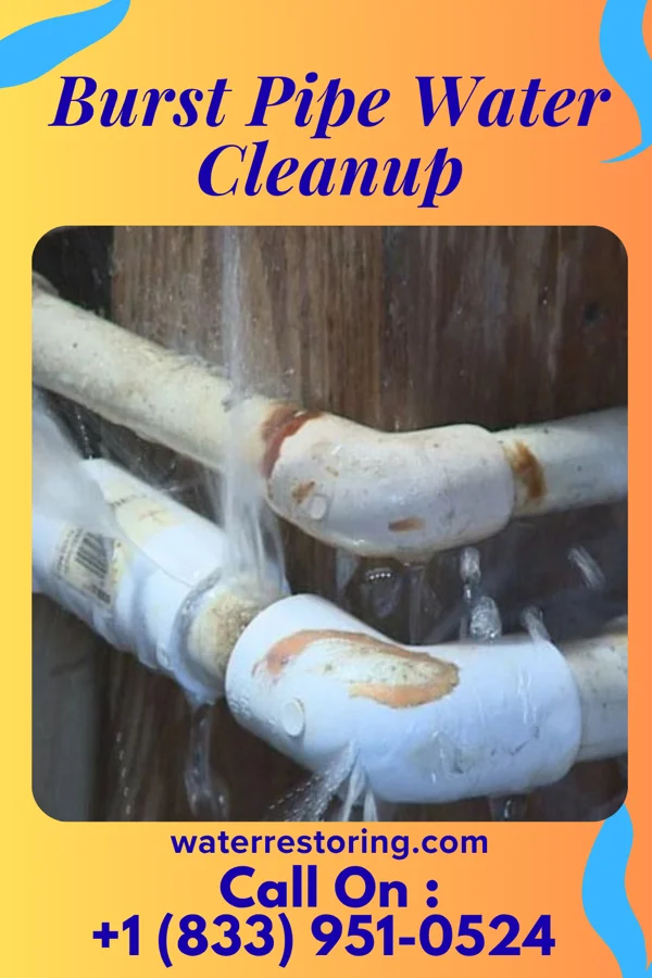 Burst Pipe Water Cleanup in Sanborn, ND